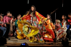 Festival rómskej kultúry a folklóru