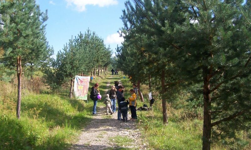 Rozprávkový les