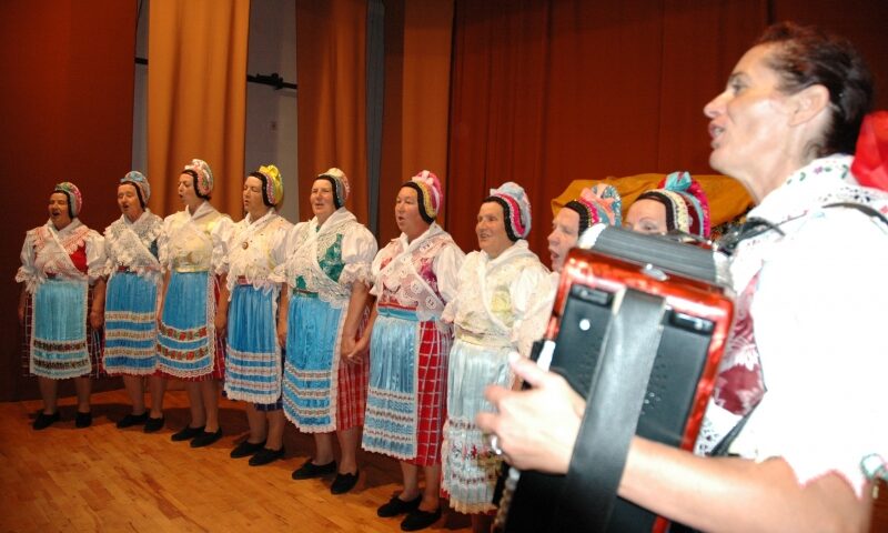 Hudobný folklór dospelých – okresná súťaž