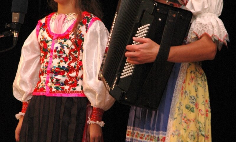 Naša Vansovej Lomnička