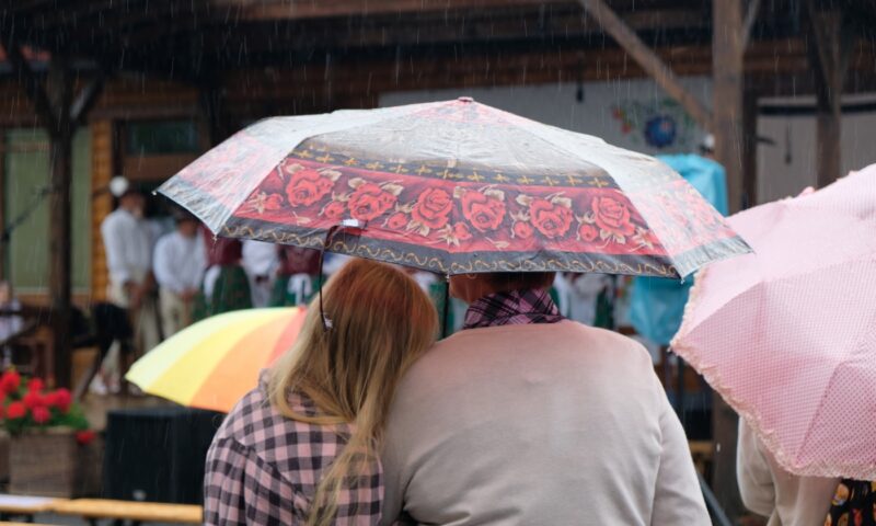 Lackovský košík 2019