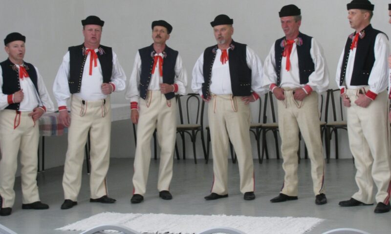 Súťaž „Hudobný folklór dospelých“