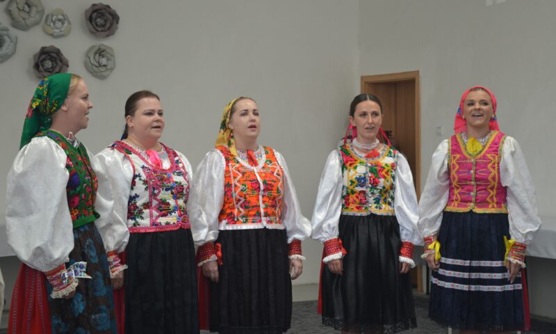 Vidiečanova Habovka – dospelí