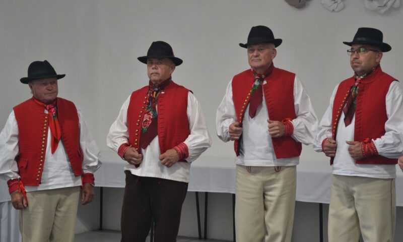 Vidiečanova Habovka – dospelí