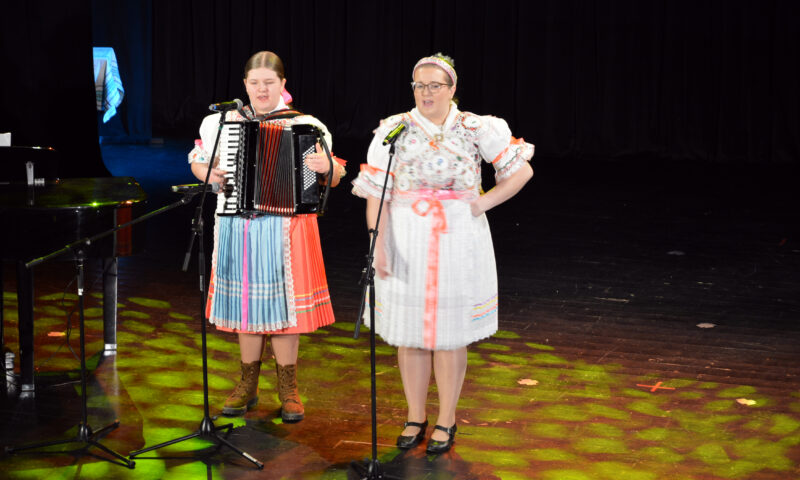 Festival záujmovej činnosti SŠ