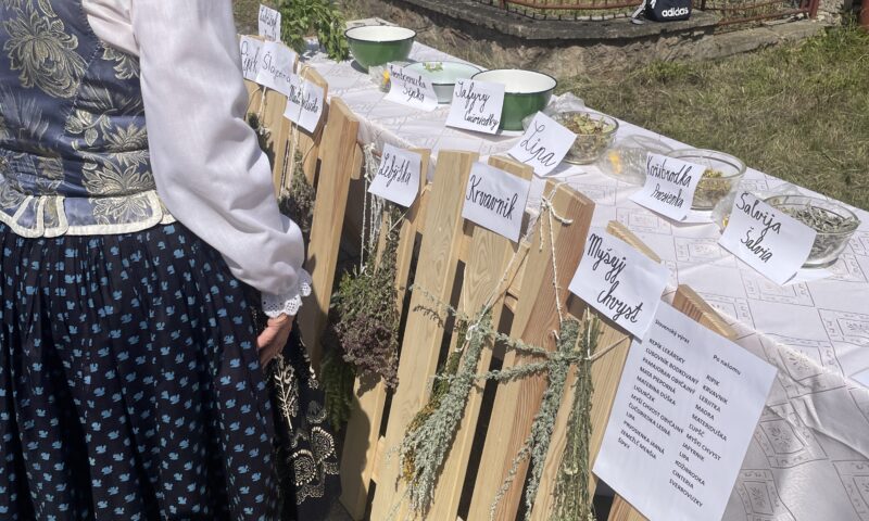 Uchovávaj a chráň tradície predkov, Jarabina