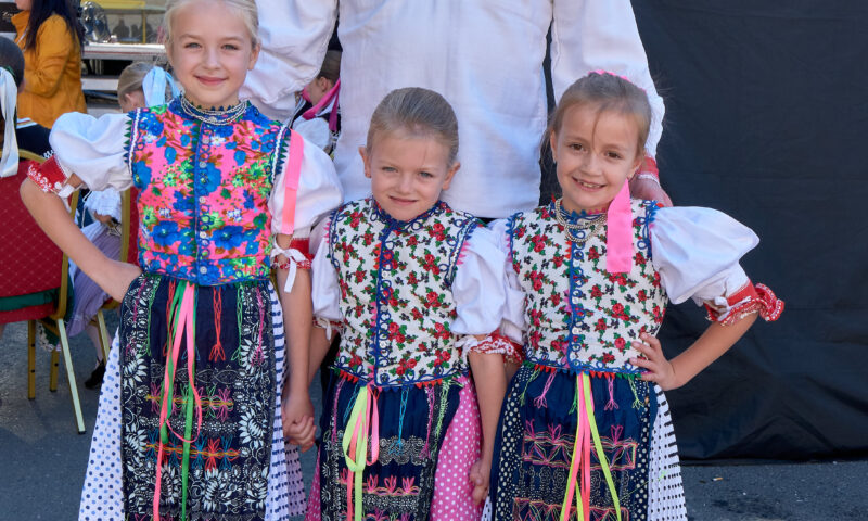 Detský svet folklóru/Ľubovniansky jarmok