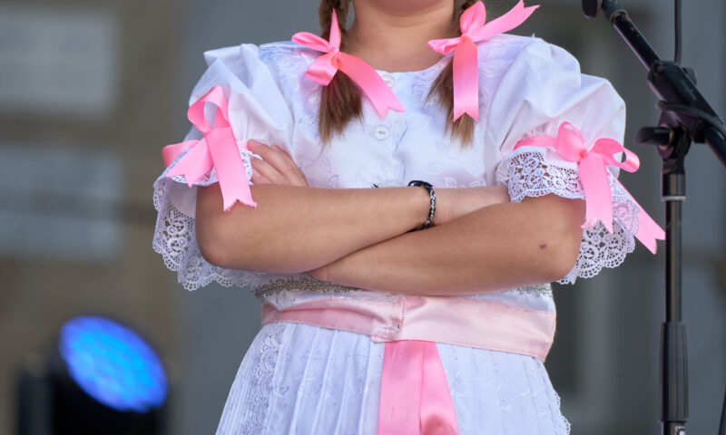 Detský svet folklóru/Ľubovniansky jarmok